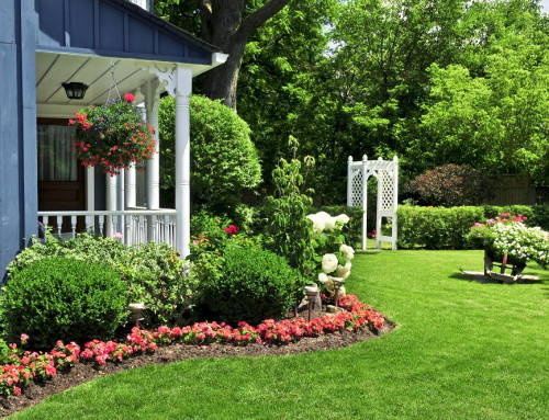 5 Materials to Mulch Your Landscape in Your Midland, TX Home