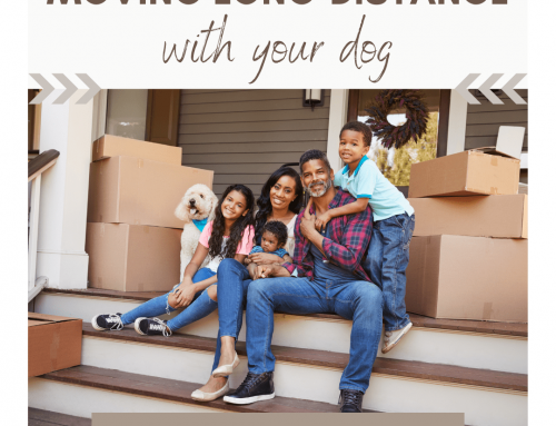 Moving Long-Distance With a Dog: The Complete Guide to Keeping Your Pet Happy