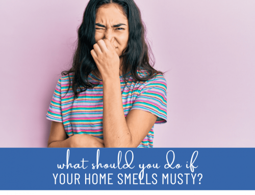 What Should You Do if Your Home Smells Musty?