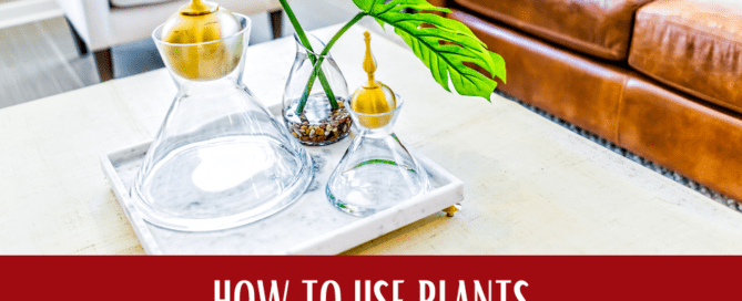 3 Essential Tips for Using Plants in Home Staging